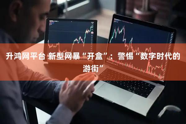 升鸿网平台 新型网暴“开盒”：警惕“数字时代的游街”