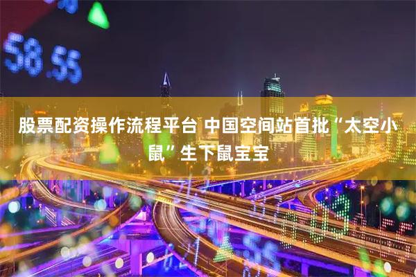 股票配资操作流程平台 中国空间站首批“太空小鼠”生下鼠宝宝