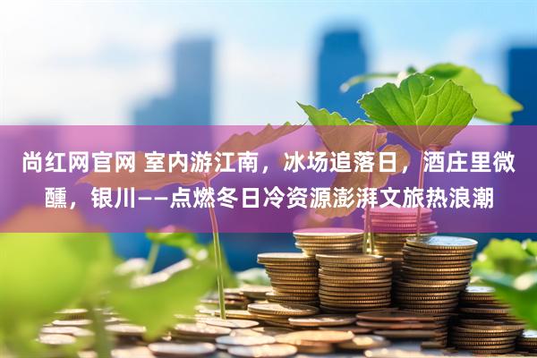 尚红网官网 室内游江南，冰场追落日，酒庄里微醺，银川——点燃冬日冷资源澎湃文旅热浪潮