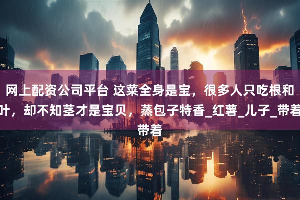 网上配资公司平台 这菜全身是宝，很多人只吃根和叶，却不知茎才是宝贝，蒸包子特香_红薯_儿子_带着