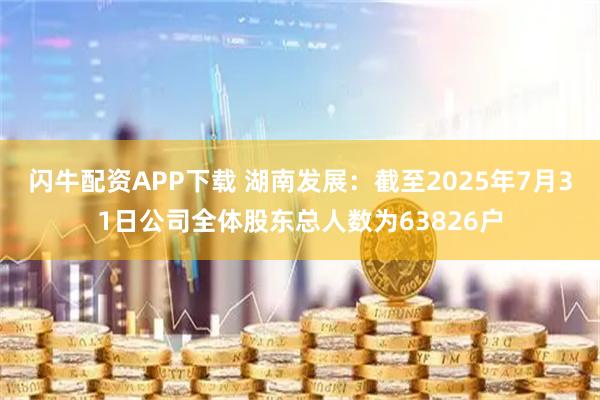 闪牛配资APP下载 湖南发展：截至2025年7月31日公司全体股东总人数为63826户